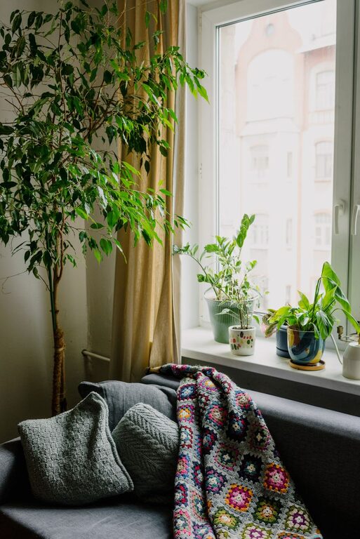 The Benefits of Incorporating Indoor Plants into Your Home Décor